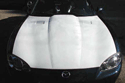 calw induction hood