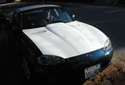 calw induction hood